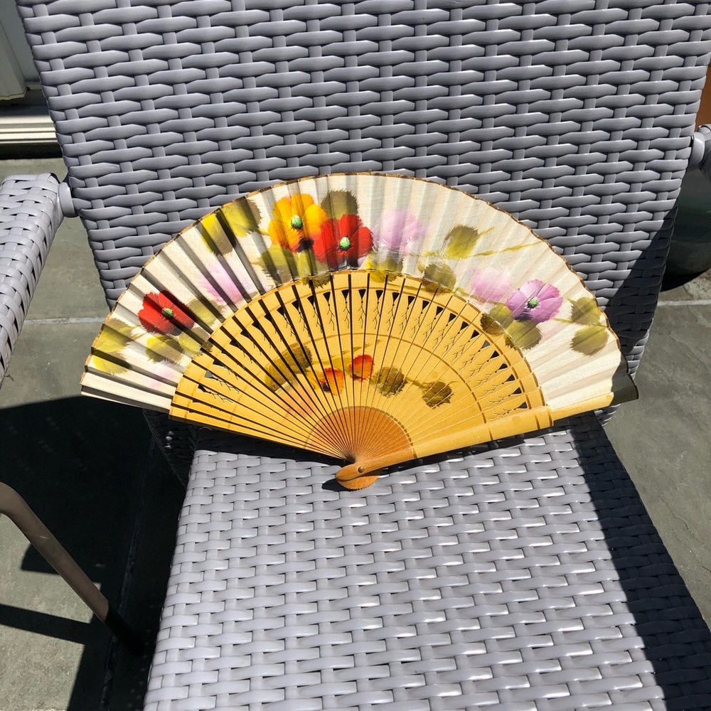 1950’s hand painted fan